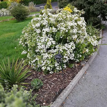 Сasa de vacaciones Tower View *