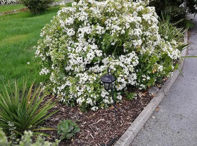 Feriehus Tower View *